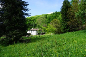 Le Pidro - A family house with private stream and woodland
